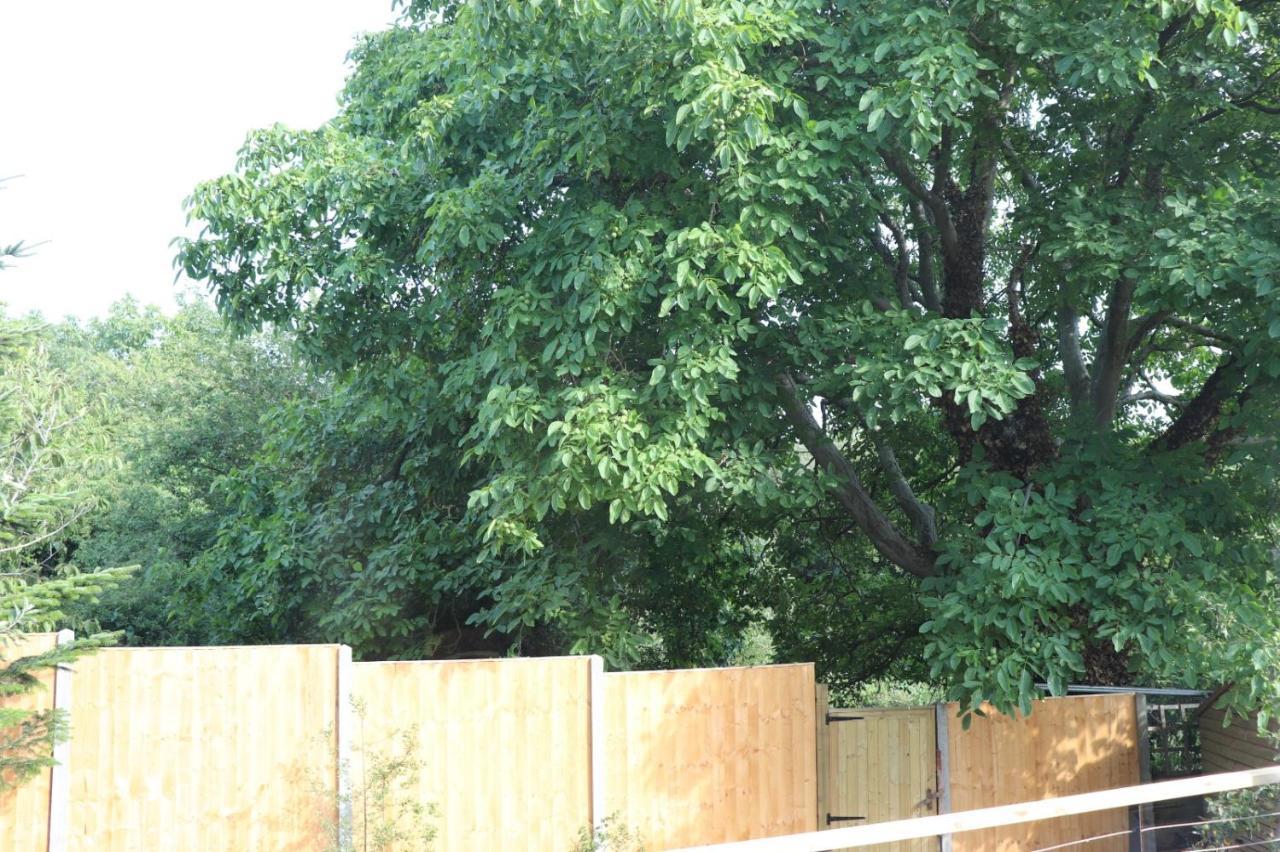Walnut Tree View Villa Oxford Exterior photo